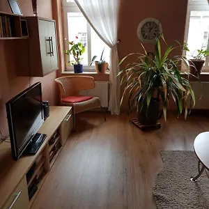 Kleine Gemütliche Apartment Dresden